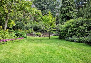 Optimiser l'expérience du jardin à Nojals-et-Clotte